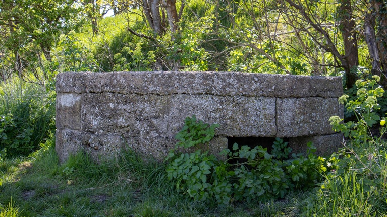 Part of a circular concrete pillbox which is embedded in a grassy bank.